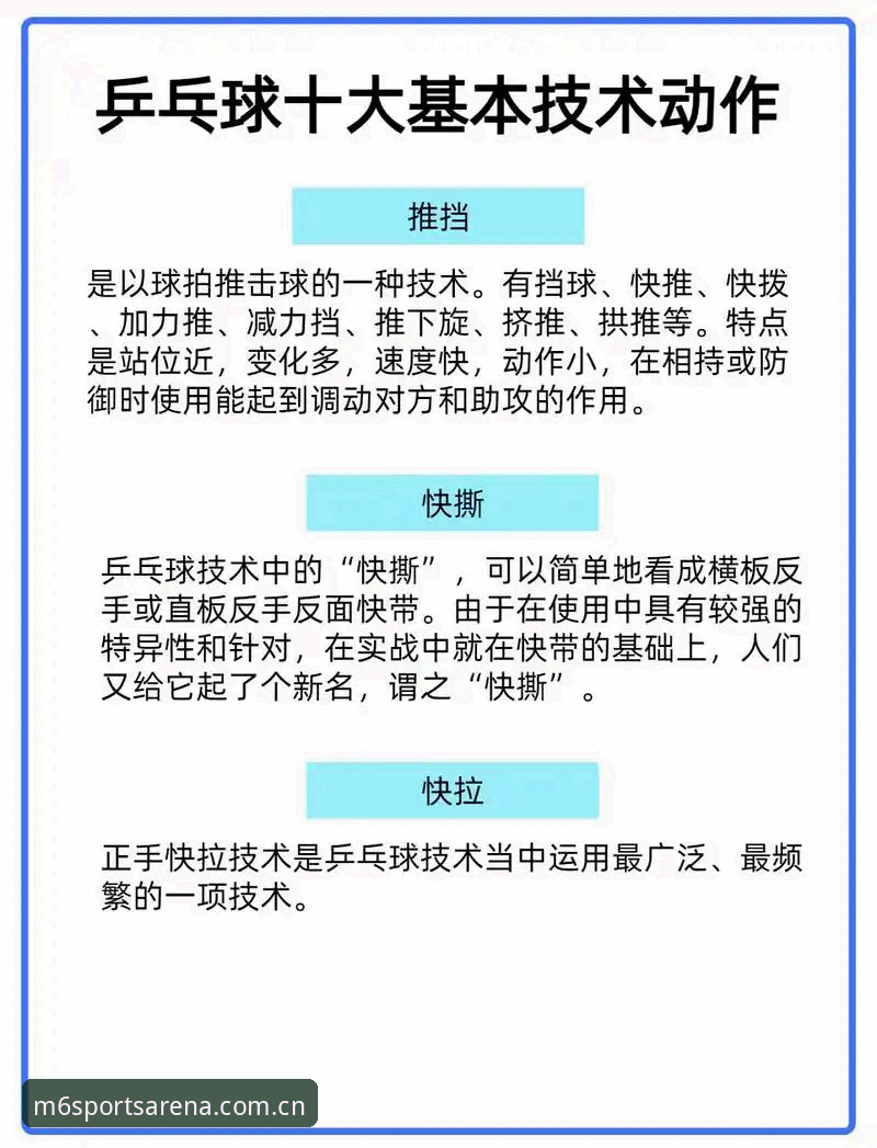 最新M6体育使用教程深度剖析：从官网入口到实战操作的完整方法论